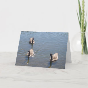 Drei Enten schwimmen Karte