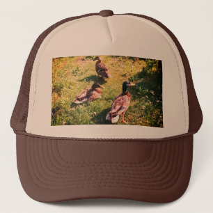 Drei Enten Truckerkappe
