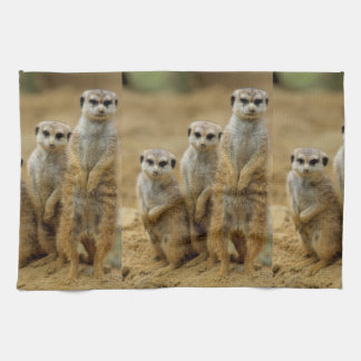 drei Erdmaennchen (Suricata suricatta) Handtuch