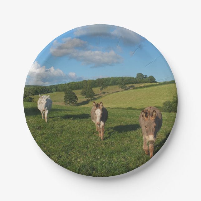 Drei Esel auf einem Feld Pappteller (Vorderseite)