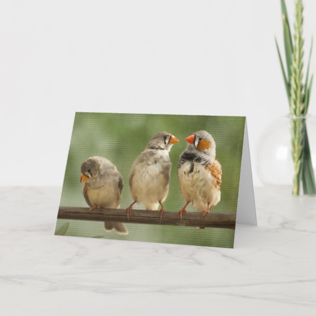 Drei Finish auf einer Twig Karte (Vorderseite)