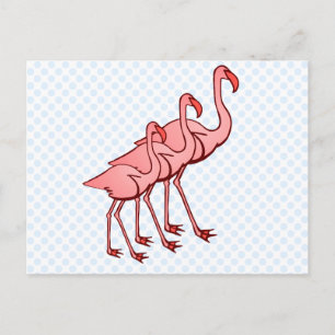 Drei Flamingos Postkarte