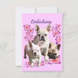 Drei Französische Bulldoggen Danke French Bulldog Einladung