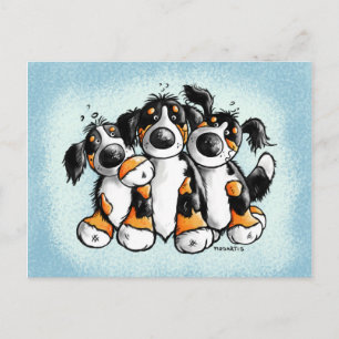 Drei Funny Bernese Hunde Postkarte