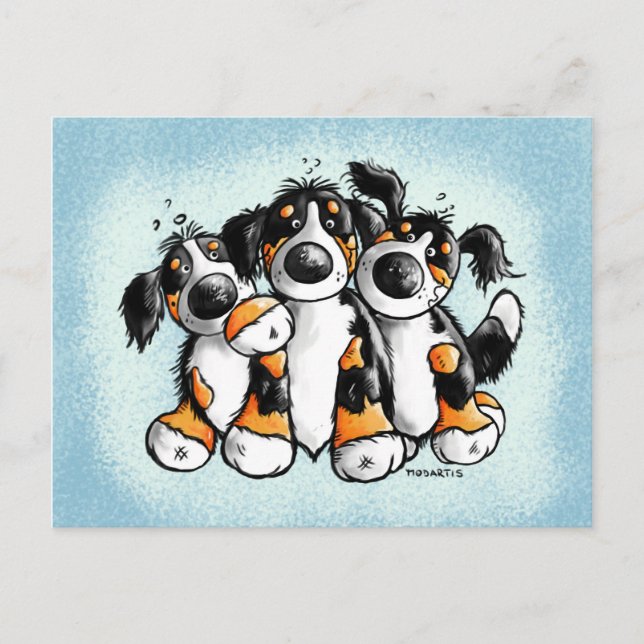 Drei Funny Bernese Hunde Postkarte (Vorderseite)