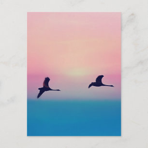 Drei Gänse im Flug Postkarte