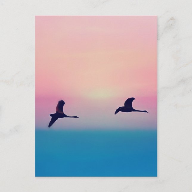 Drei Gänse im Flug Postkarte (Vorderseite)