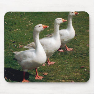 Drei Gänse Strutting - Mousemat. Fertigen Sie Mousepad