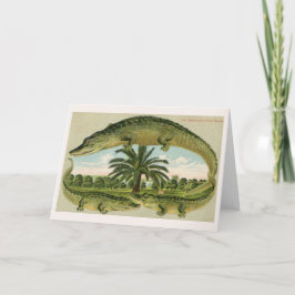 Drei Gatoren und eine Palme Karte