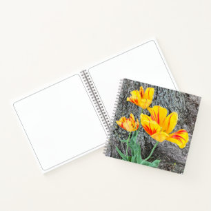 Drei Gelbe Tulips-Sequel / Skizze Notizbuch