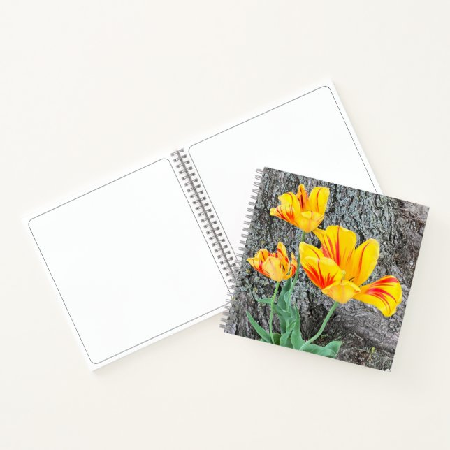 Drei Gelbe Tulips-Sequel / Skizze Notizbuch (Innenseite)