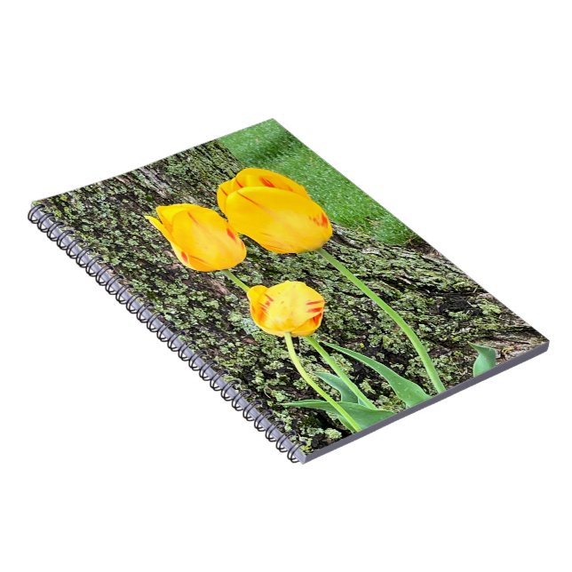 Drei gelbe Tulips / Spirale Notizblock (Rechte Seite)