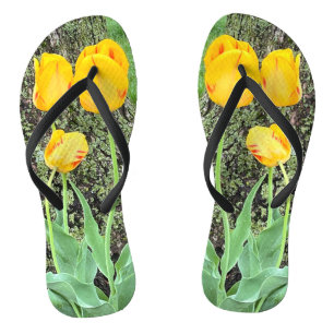 Drei gelbe Tulissen / Flip Flops