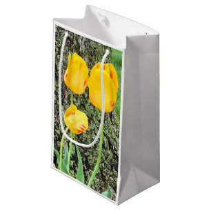 Drei gelbe Tulissen / Kleine Geschenktüte