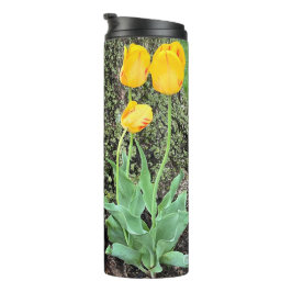 Drei gelbe Tulissen / Thermosbecher