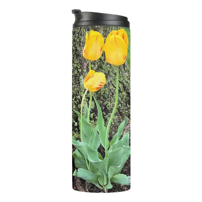 Drei gelbe Tulissen / Thermosbecher (Nach rechts gedreht)