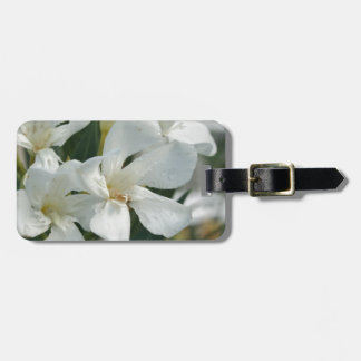 Drei Gepäckanhänger