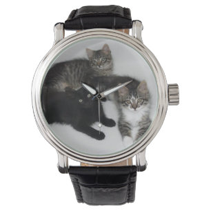Drei gerettete Kittenschau Armbanduhr