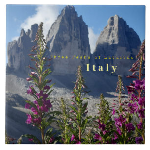 Drei Gipfel der Lavaredo-Wildblumen Italien Fliese