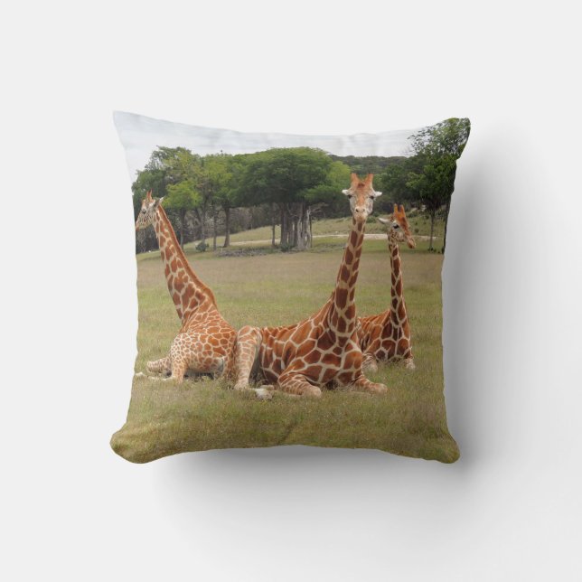 Drei Giraffen bei Fossil Rim Kissen (Vorderseite)