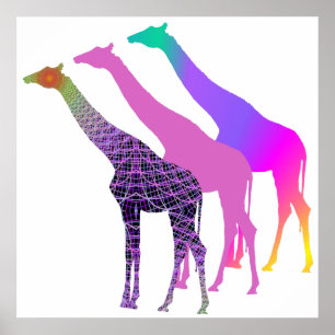 Drei Giraffen Design 4 Poster