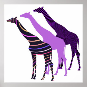 Drei Giraffen Design 5 Poster