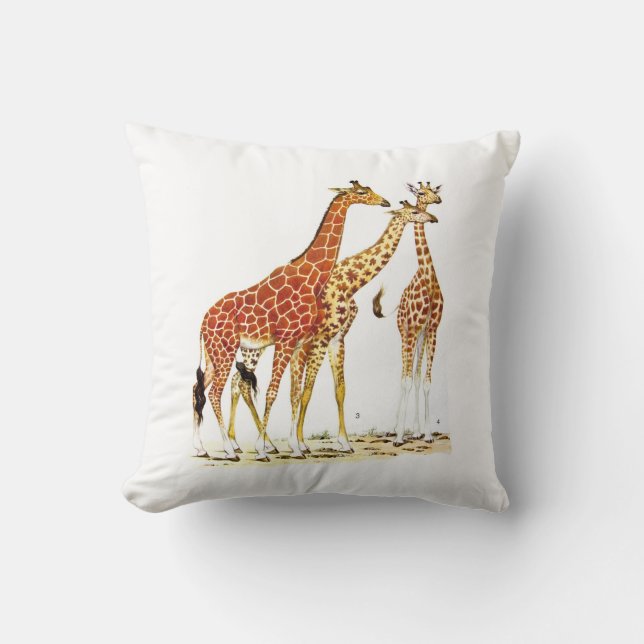 Drei Giraffen-Illustration Kissen (Vorderseite)