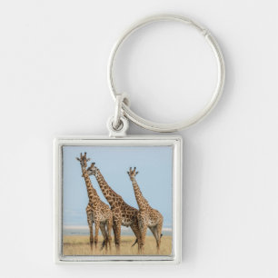 Drei Giraffen posieren Schlüsselanhänger