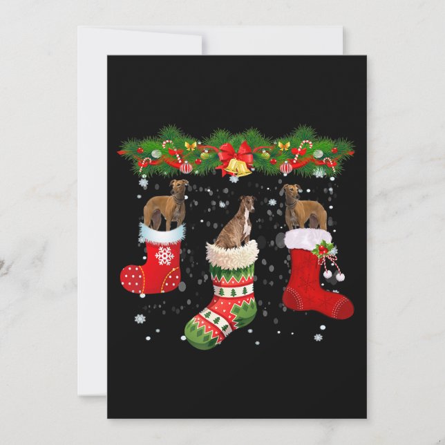 Drei Grauhund Hund in Socken Weihnachten Weihnacht Einladung (Vorderseite)
