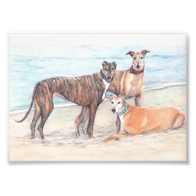 Drei Grauhund Hunde Kunstfoto drucken Fotodruck (Vorne)