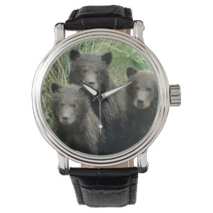 Drei Grizzlybären-Jungtiere oder Coys Armbanduhr