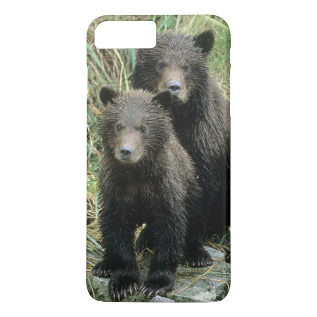 Drei Grizzlybären oder Coys Case-Mate iPhone Hülle (Rückseite)