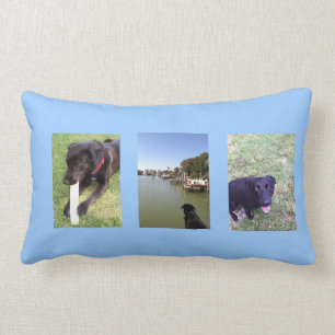 Drei große HundeFoto durch bbillips Lendenkissen