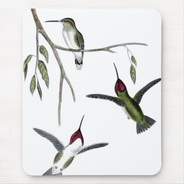 Drei grüne Kolibris Mousepad (Vorne)