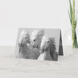 Drei Grußkarten für das Weiße Pferd Karte
