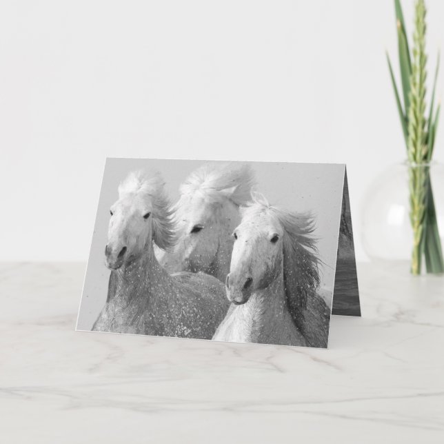 Drei Grußkarten für das Weiße Pferd Karte (Vorderseite)