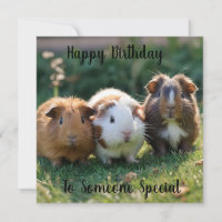 Drei Guinea von Säuglingen,