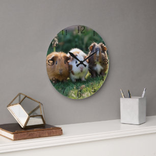 Drei Guinea von Säuglingen, Große Wanduhr