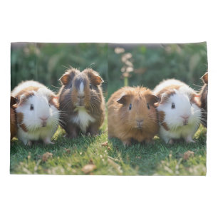 Drei Guinea von Säuglingen, Kissenbezug