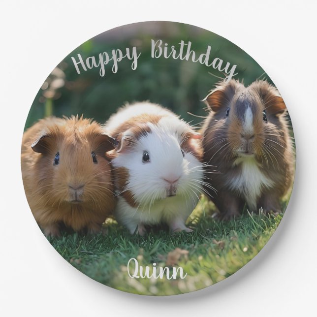 Drei Guinea von Säuglingen, Pappteller (Vorderseite)
