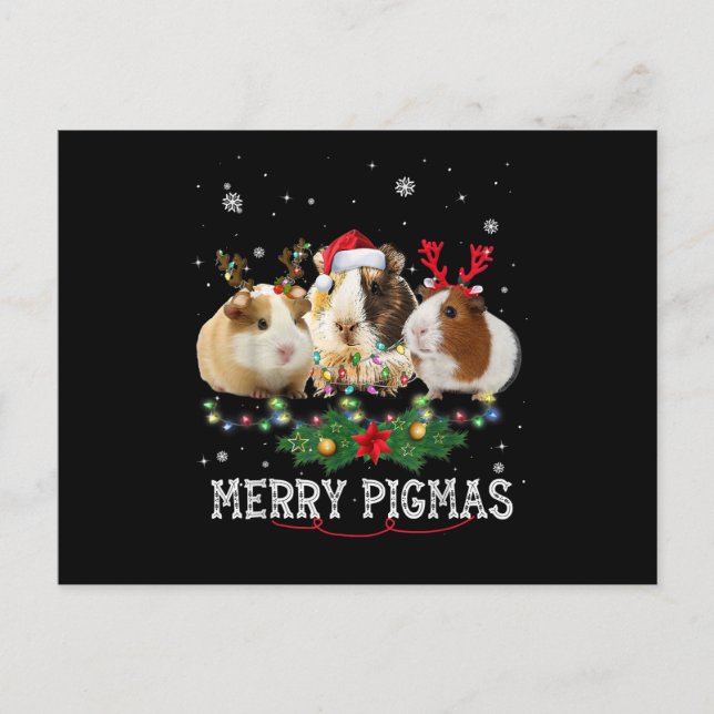Drei Guinea Weihnachtslicht Weihnachtsmannmütze Postkarte (Vorderseite)