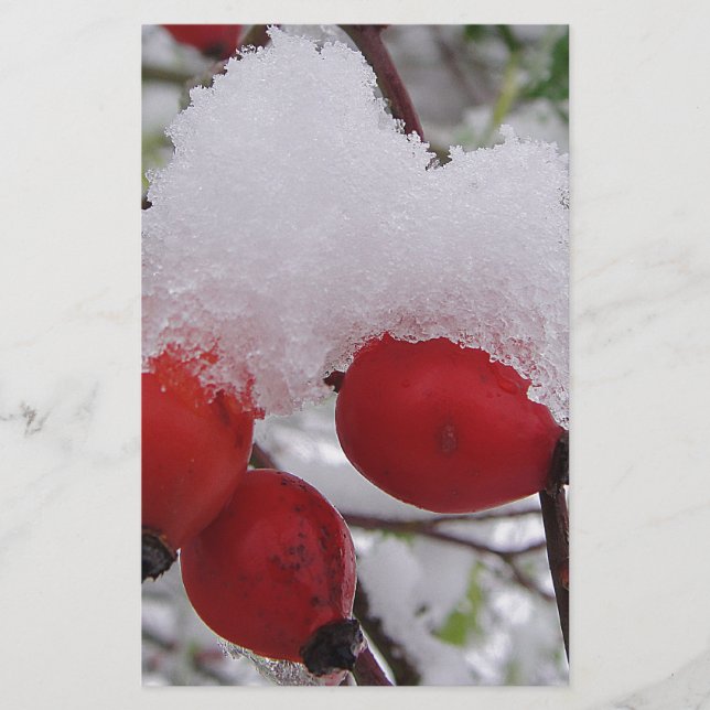 Drei Hagebutten mit Schnee (Vorderseite)