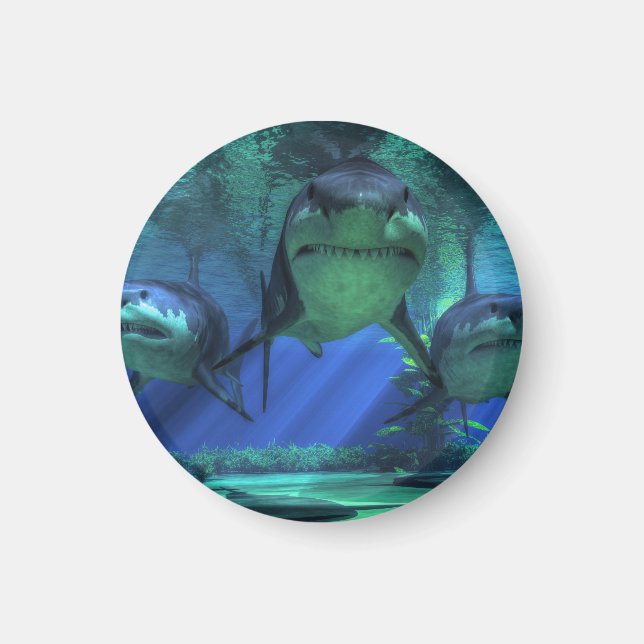 Drei Haie Magnet (Vorne)