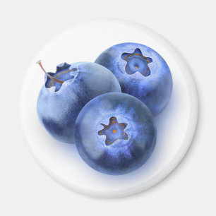 Drei Heidelbeeren Magnet