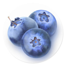 Drei Heidelbeeren