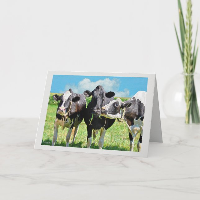 Drei Holstein Kühe Weiden Karte (Vorderseite)