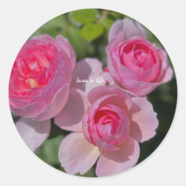 Drei Hübsche Rosenrosen Runder Aufkleber