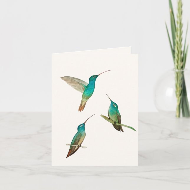 Drei Hummingbirds Grußkarte Karte (Vorderseite)