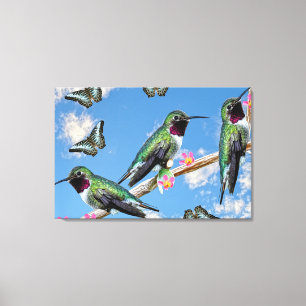 Drei Hummingvögel auf einem Ast Floss Silt Leinwanddruck