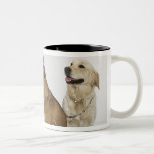 drei Hunde, die ganz rechts schauen Zweifarbige Tasse